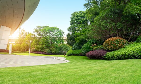 Commercial Shrub Trimming in Manchester