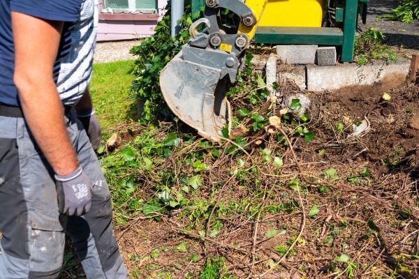Hedge Removal Service in Manchester