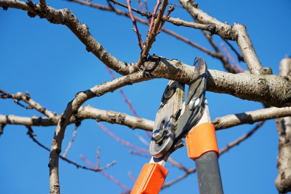 Selective Pruning in Manchester