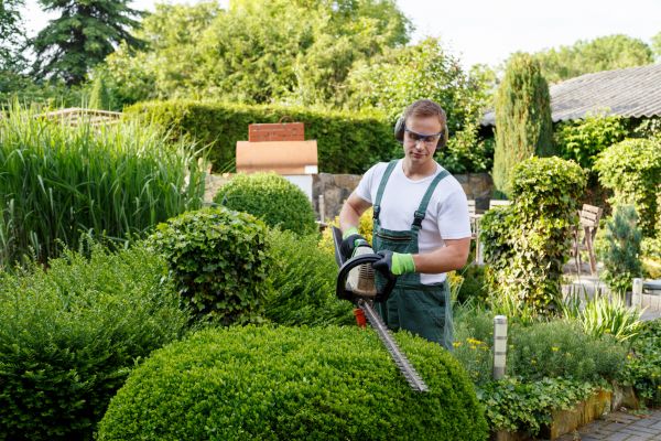 Shrubs Trimming in Manchester