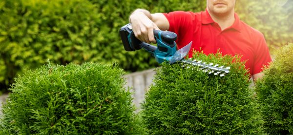 Hedge Shaping Service in Manchester