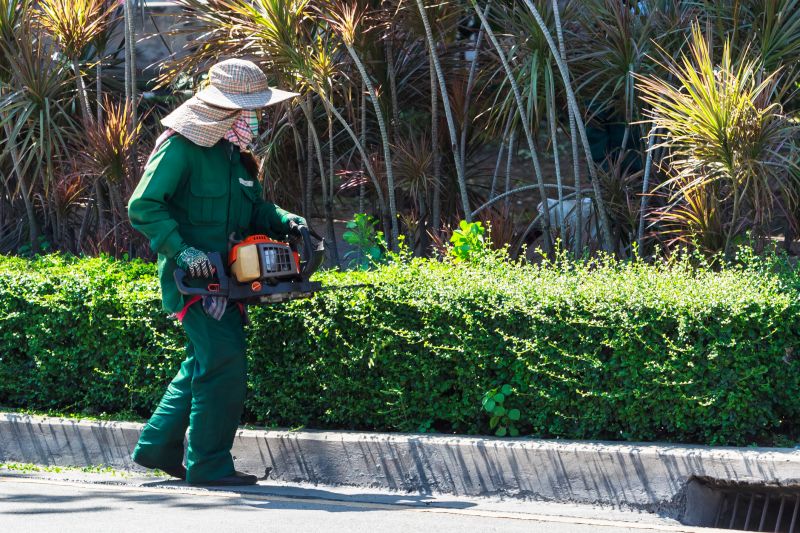 Hedge Pruning detail