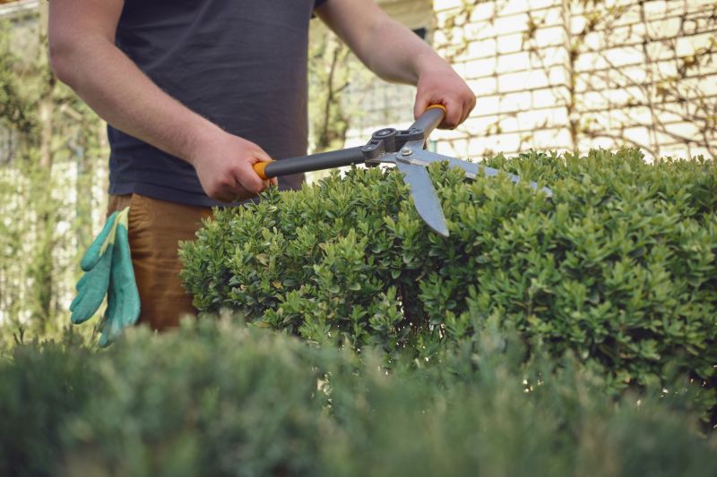 Shrub Pruning