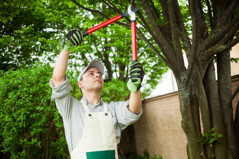 Seasonal Shrub Care Providers